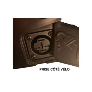 Chargeur de batterie Yamaha Intube